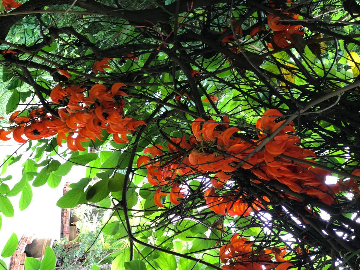 Chaiyo Resort Phuket Exteriör bild